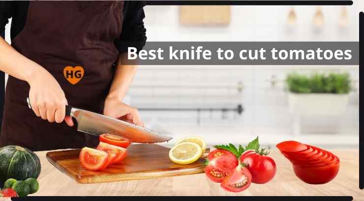 Best knife to cut tomatoes